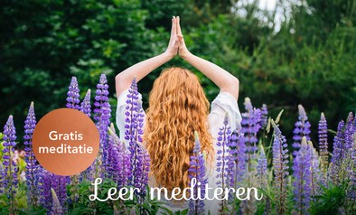 13. website-gratis ademhalingsmeditatie-johan-2880×1040-optie 1