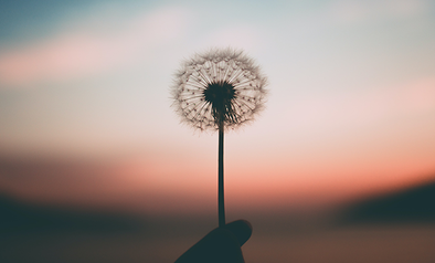 Mindfulness