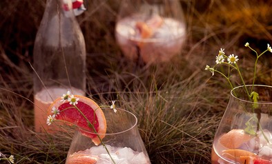 grapefruit gin tonic – Milou van der Will-6