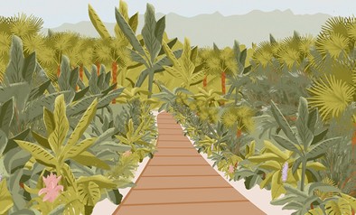 Wandelmeditatie