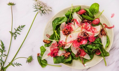 Wildpluk-salade-Yoga-Online-704×469