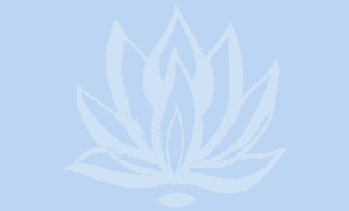 Blog quote – lichtblauw – Lotus