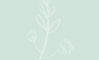 Blog quote – mint – Takje