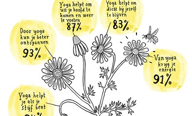 Infographic Yoga in Nederland