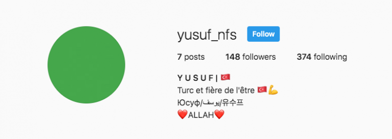 Pourquoi Les Photos De Profil Virent Au Vert Sur Instagram