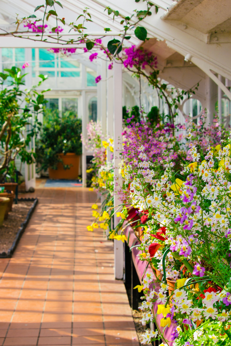 La liste des pépiniéristes et jardineries qui livrent à domicile La liste des pépiniéristes et jardineries qui livrent à domicile